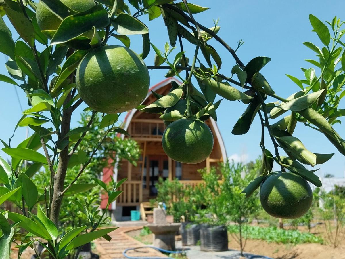 Raturinjani Homestay Selong Ngoại thất bức ảnh