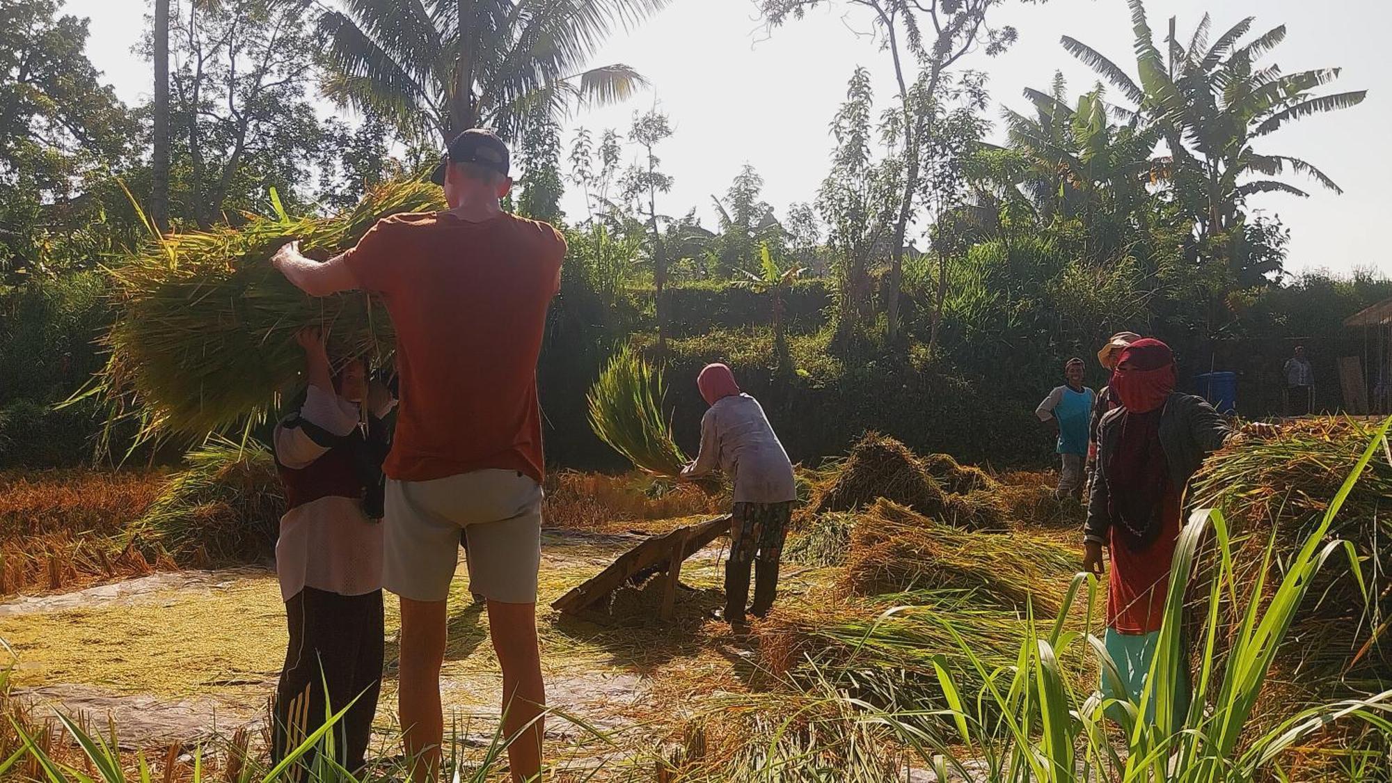 Raturinjani Homestay Selong Phòng bức ảnh