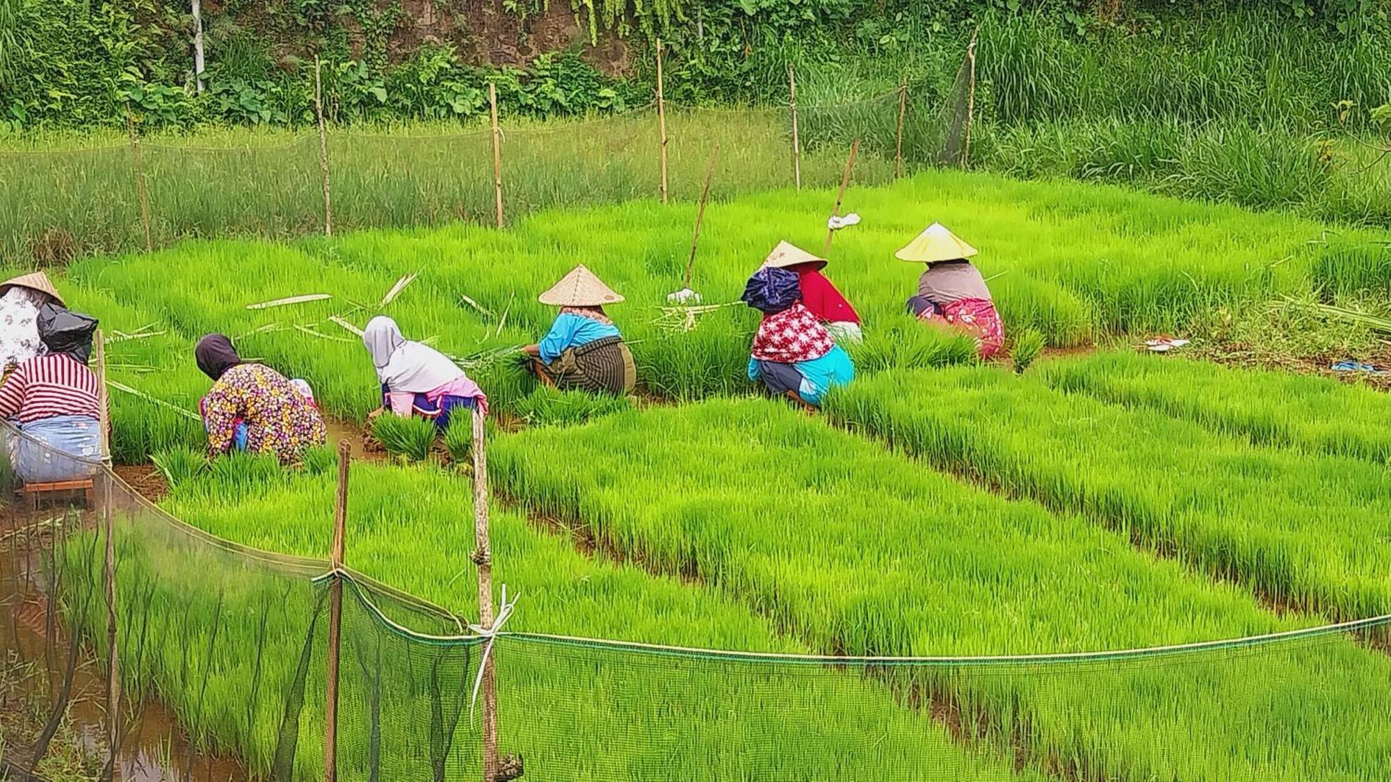 Raturinjani Homestay Selong Ngoại thất bức ảnh