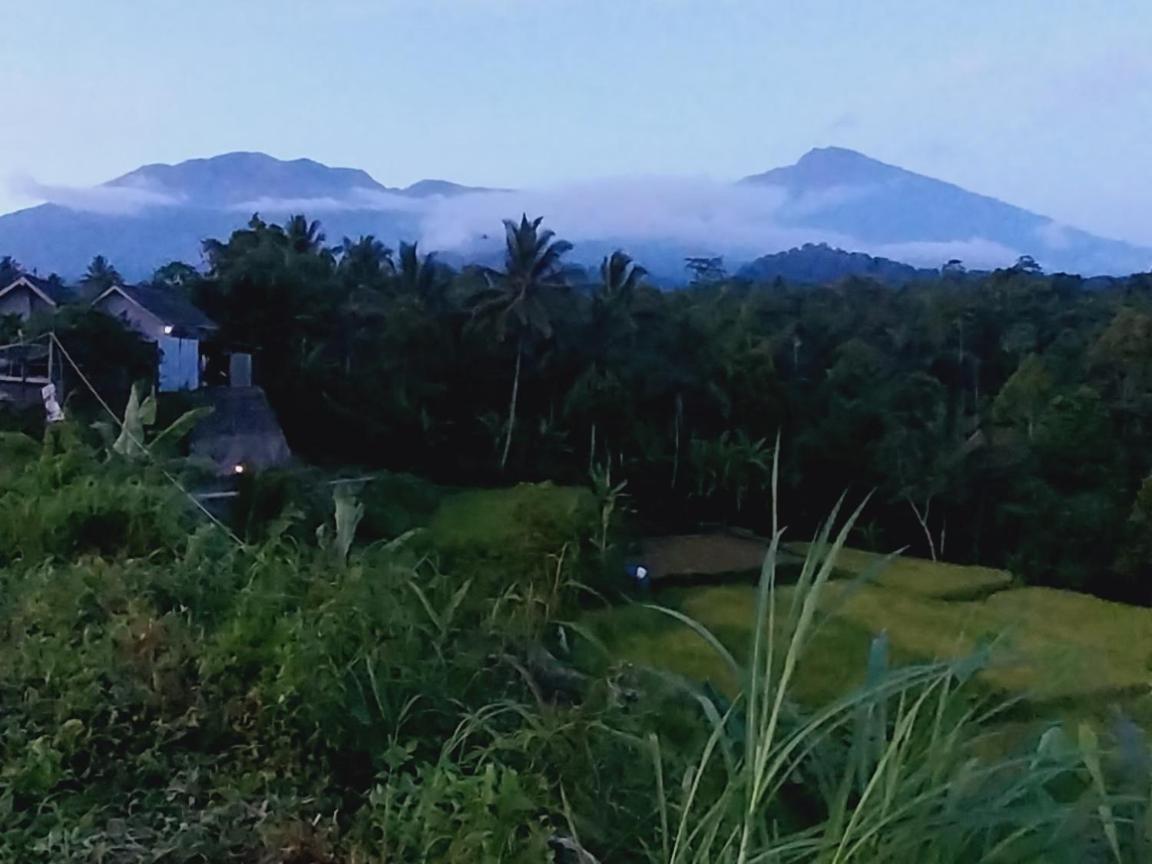 Raturinjani Homestay Selong Ngoại thất bức ảnh