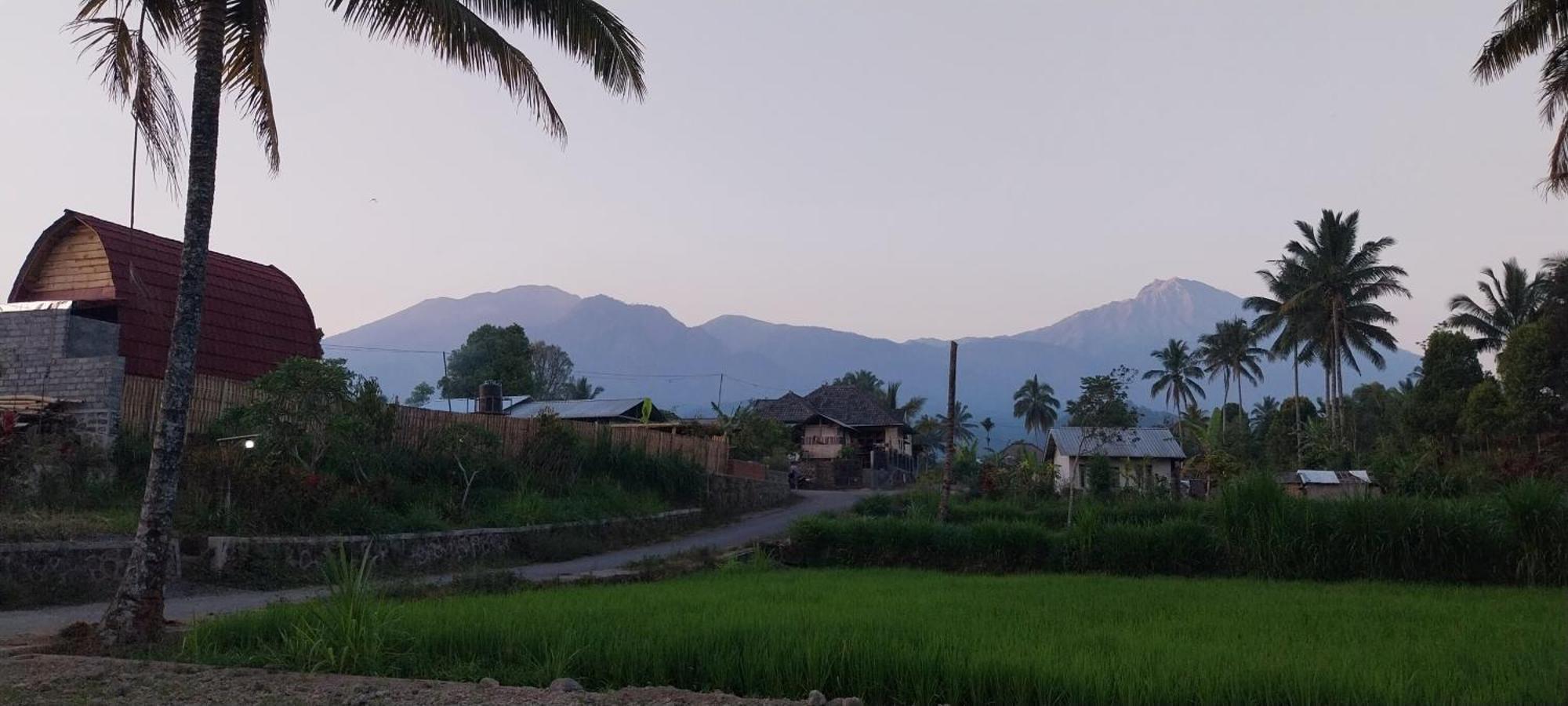 Raturinjani Homestay Selong Ngoại thất bức ảnh