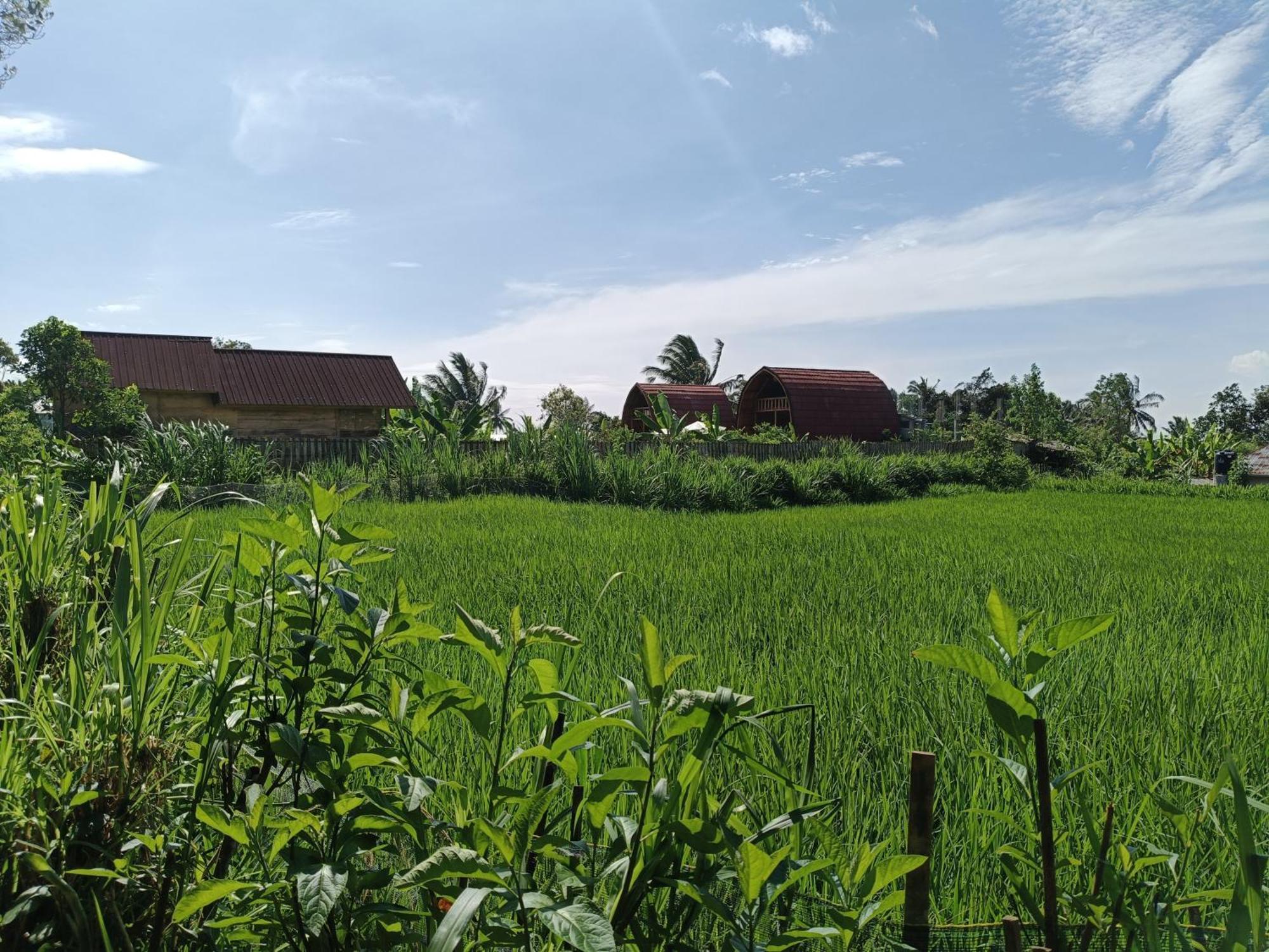 Raturinjani Homestay Selong Phòng bức ảnh
