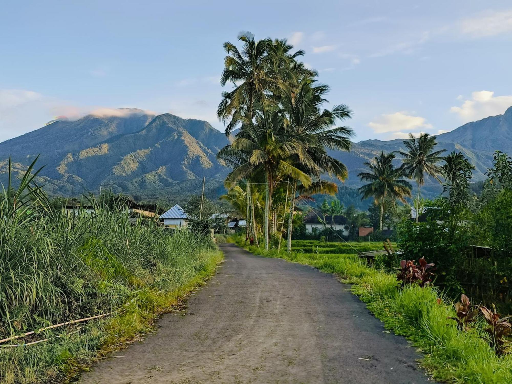 Raturinjani Homestay Selong Ngoại thất bức ảnh
